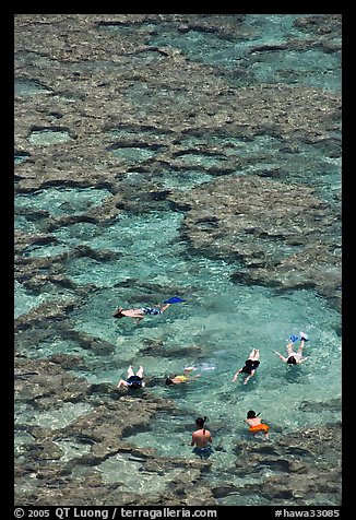 Snorkling in Hanauma Bay. Oahu island, Hawaii, USA (color)