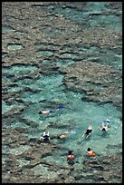 Snorkling in Hanauma Bay. Oahu island, Hawaii, USA
