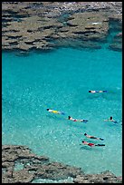 Swimming in Hanamau Bay with snorkels. Oahu island, Hawaii, USA