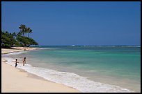 Beach, north shore. Oahu island, Hawaii, USA (color)