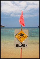 Sign warning against jellyfish,  Hanauma Bay. Oahu island, Hawaii, USA (color)