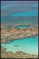 Reefs and sandy pools of Hanauma Bay. Oahu island, Hawaii, USA