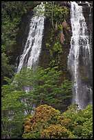 Opaekaa Falls. Kauai island, Hawaii, USA (color)