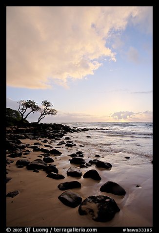 Windblown trees, boulders, and clouds, Lydgate Park, sunrise. Kauai island, Hawaii, USA