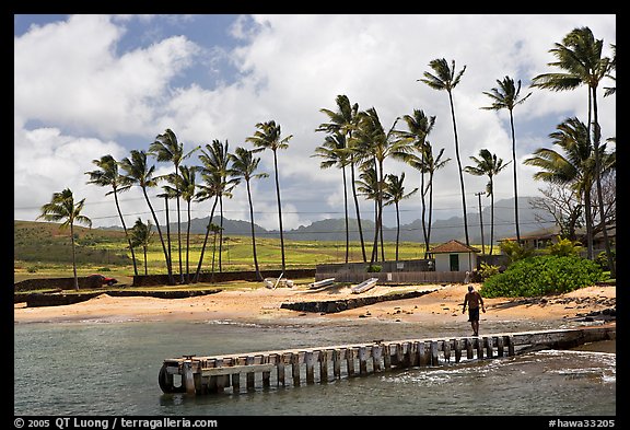 Pier, Kukuila harbor. Kauai island, Hawaii, USA (color)