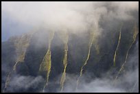 Fluted ridges seen through mist, Kalalau lookout, late afternoon. Kauai island, Hawaii, USA ( color)
