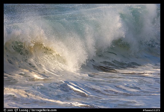 Breaking wave. North shore, Kauai island, Hawaii, USA