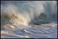 Breaking wave. North shore, Kauai island, Hawaii, USA
