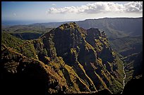 Aerial view of Waimea Canyon. Kauai island, Hawaii, USA ( color)