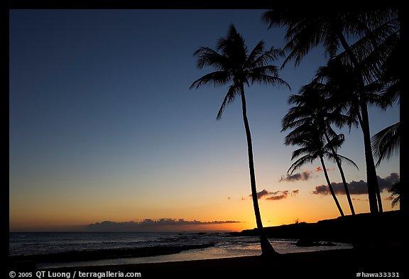 Palm trees and beach, Salt Pond Beach, sunset. Kauai island, Hawaii, USA (color)