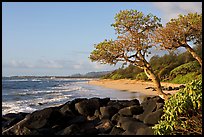 Boulders, trees, and beach, Lydgate Park, early morning. Kauai island, Hawaii, USA (color)