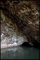 Waikanaloa wet cave. North shore, Kauai island, Hawaii, USA