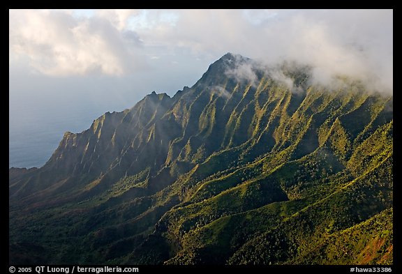 Lush Hills above Kalalau Valley, seen from the Pihea Trail, late afternoon. Kauai island, Hawaii, USA (color)