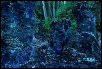 Lava mold of tree trunk, Lava Trees State Park. Big Island, Hawaii, USA