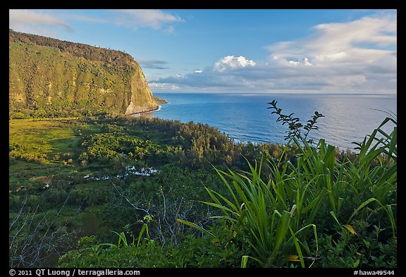 Waipio Valley and Ocean at sunrise. Big Island, Hawaii, USA