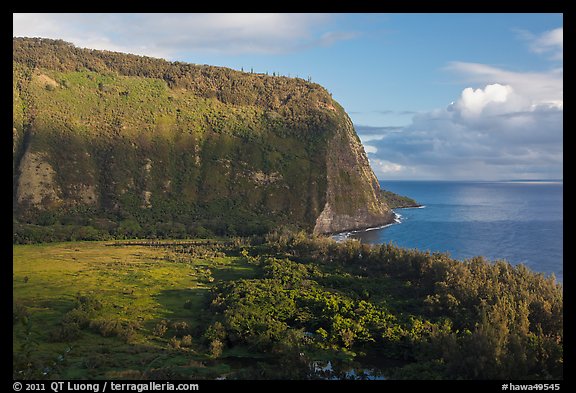 Steep valley walls, Waipio Valley. Big Island, Hawaii, USA
