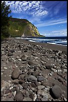 Rocks and black sand beach, Waipio Valley. Big Island, Hawaii, USA (color)