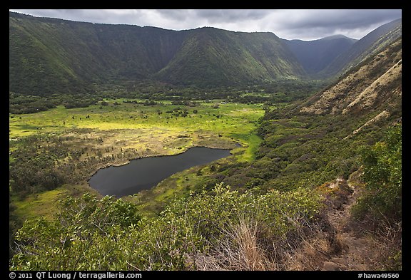 Waipio Valley. Big Island, Hawaii, USA