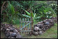 Tropical garden delimited by low stone walls. Maui, Hawaii, USA ( color)