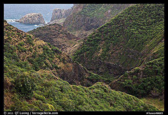 Verdant eroded valley. Maui, Hawaii, USA (color)
