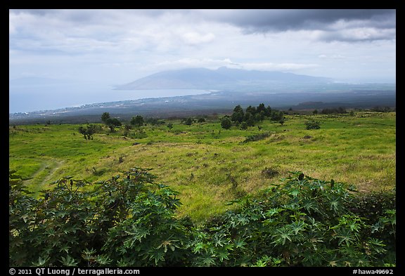 West Maui seen from highlands. Maui, Hawaii, USA