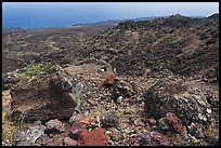 Kanalo natural area reserve and ocean. Maui, Hawaii, USA (color)