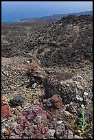 Desert-like lava flow rock and ocean, Kanalo reserve. Maui, Hawaii, USA
