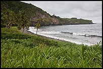 Beach, Opelu Falls dropping into bay. Maui, Hawaii, USA