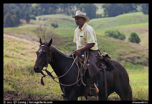 Paniolo (Hawaiian cowboy). Maui, Hawaii, USA