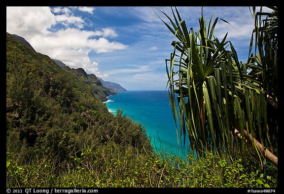 Jagged green cliffs plunging into blue waters, Na Pali coast. Kauai island, Hawaii, USA (color)