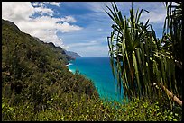 Jagged green cliffs plunging into blue waters, Na Pali coast. Kauai island, Hawaii, USA