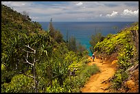 Hiking Kalalau trail. Kauai island, Hawaii, USA