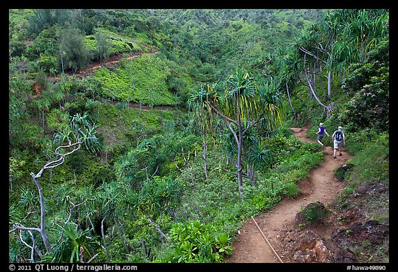 Kalalau trail. Kauai island, Hawaii, USA (color)