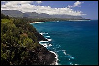 Coastline from Kilauea Point. Kauai island, Hawaii, USA