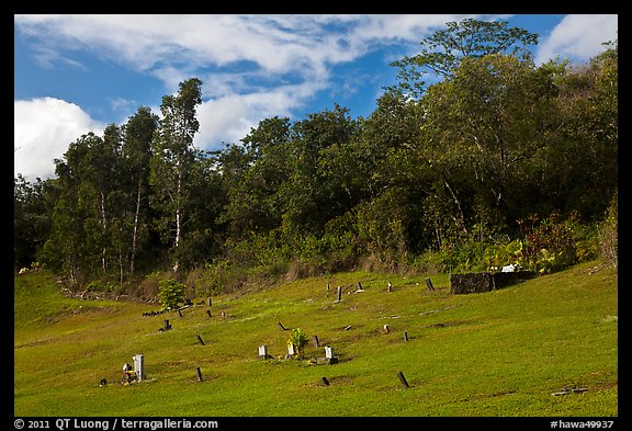 Graves on grassy slope, Hanalei Valley. Kauai island, Hawaii, USA