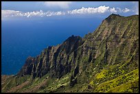 Na Pali Cliffs, seen from Pihea Trail. Kauai island, Hawaii, USA ( color)