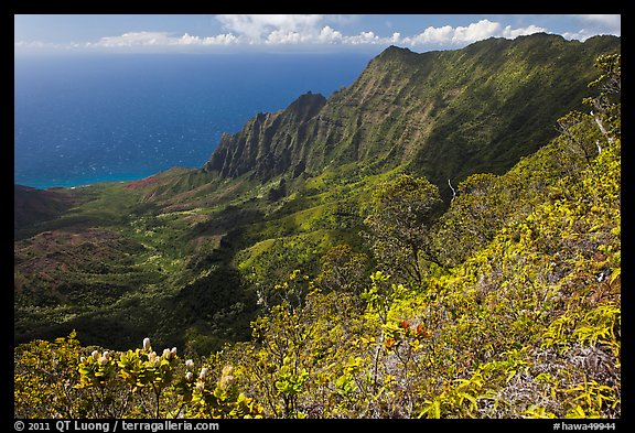 Kalalau Valley and fluted mountains. Kauai island, Hawaii, USA (color)