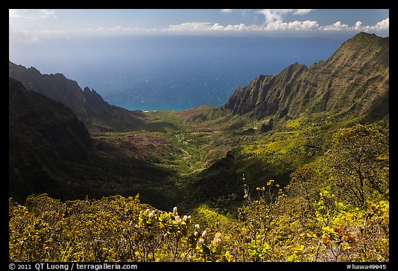 Kalalau Valley and Ocean. Kauai island, Hawaii, USA