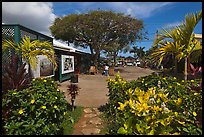 Kilauea market. Kauai island, Hawaii, USA (color)