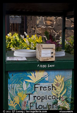 Self-serve fresh tropical flowers stand. Kauai island, Hawaii, USA