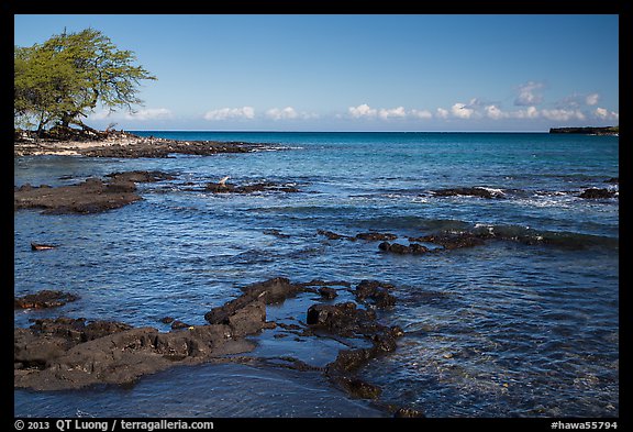 Rocks with bird in distance, Kiholo Bay. Big Island, Hawaii, USA
