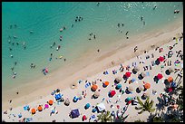 Aerial view of palm trees and beach with umbrellas looking down, Waikiki. Waikiki, Honolulu, Oahu island, Hawaii, USA ( color)
