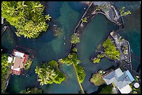 Aerial view of Champagne Ponds looking down. Big Island, Hawaii, USA ( color)