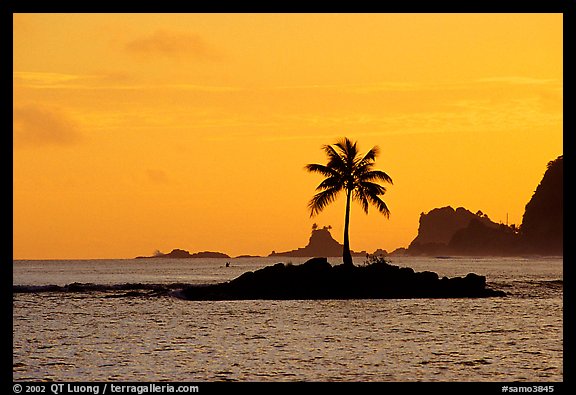 Lone coconut tree on a islet in Leone Bay, sunset. Tutuila, American Samoa