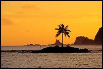 Lone coconut tree on a islet in Leone Bay, sunset. Tutuila, American Samoa (color)