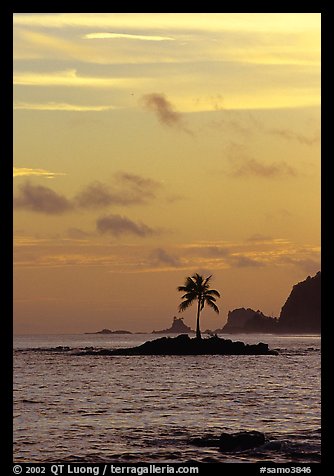 Coconut tree on islet, Leone Bay, sunset. Tutuila, American Samoa (color)