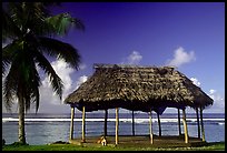 Beach fale with dog near Amouli. Tutuila, American Samoa