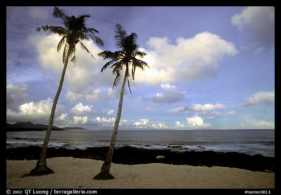 Palm trees at Coconut Point. Tutuila, American Samoa (color)