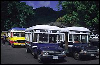 Decorated aiga busses, Pago Pago. Pago Pago, Tutuila, American Samoa (color)