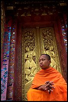 Buddhist novice monk at Wat Xieng Thong. Luang Prabang, Laos ( color)